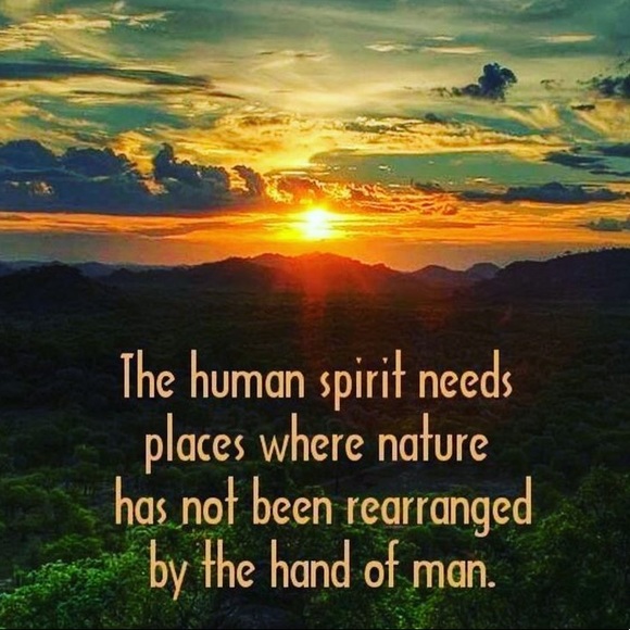 Meet your Posher, Sandra - Picture 4 of 5